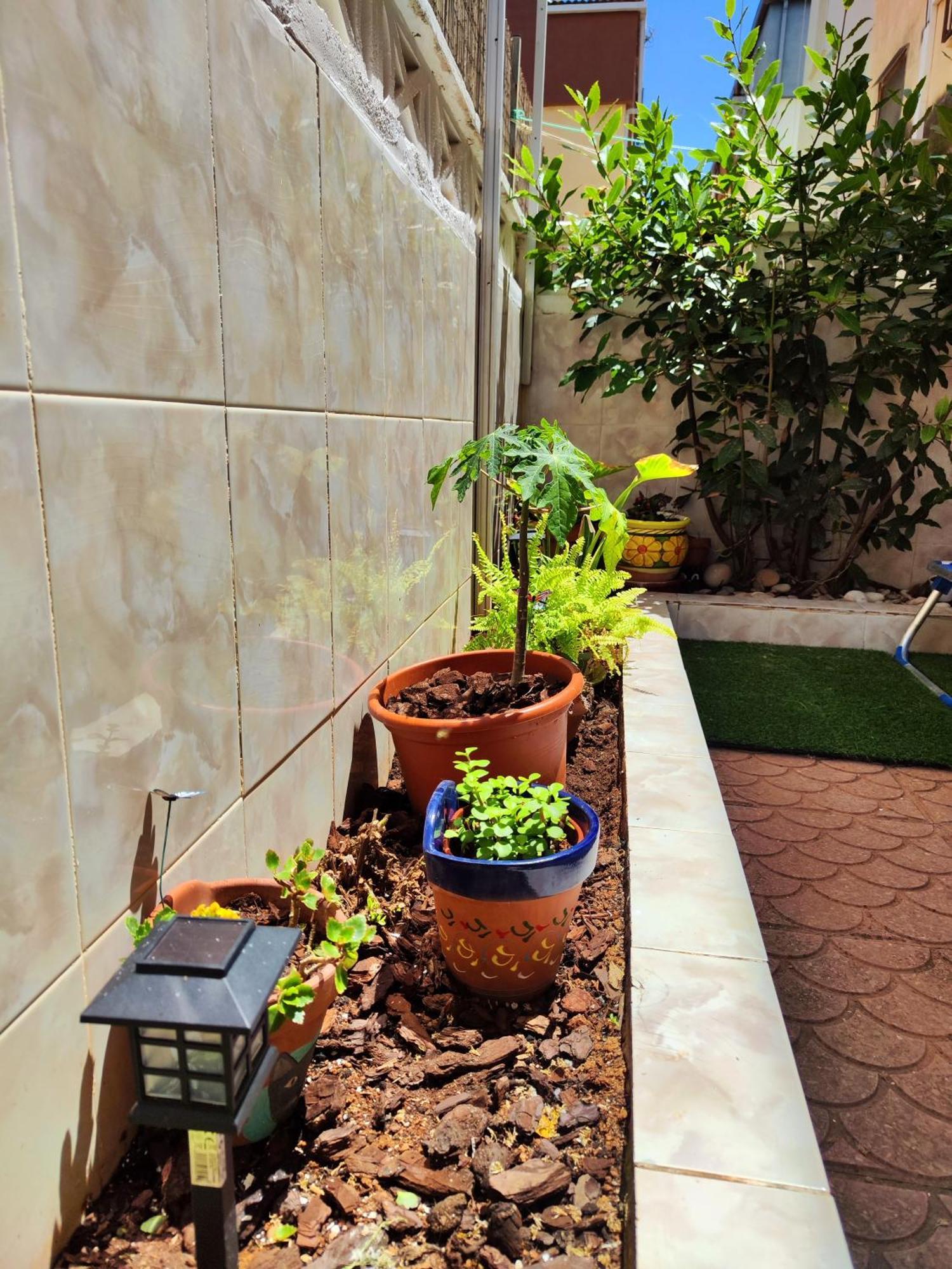 Alce Rincon Del Mar - Planta Baja Con Patio - A 100M Playa Morro De Gos Apartment Oropesa del Mar Bagian luar foto